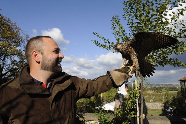 Заветници пустили сокола изнад Жиче!
