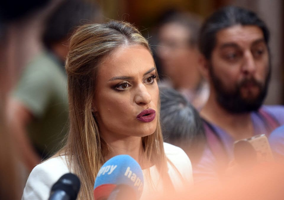 МИЛИЦА ЂУРЂЕВИЋ: УСТАВ ИЛИ УЛТИМАТУМ