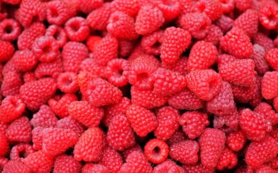 Подршка малинарима-малина стратешки производ Србије!