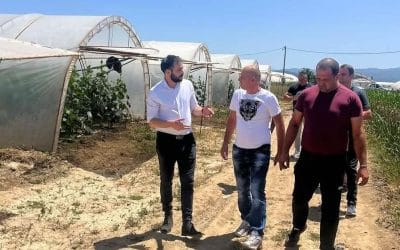 Виријевић: Подршка породичним газдинствима је кључ за опстанак села и развој пољопривреде