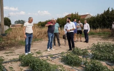 Виријевић у Лозници: Више од 640 милиона динара субвенција пољопривредницима у протеклој години